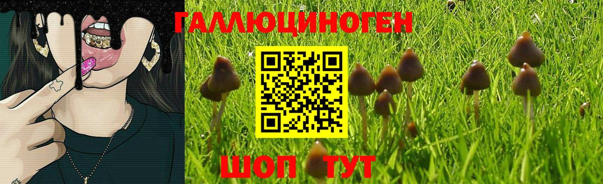 Галлюциногенные грибы Cubensis Кирово-Чепецк