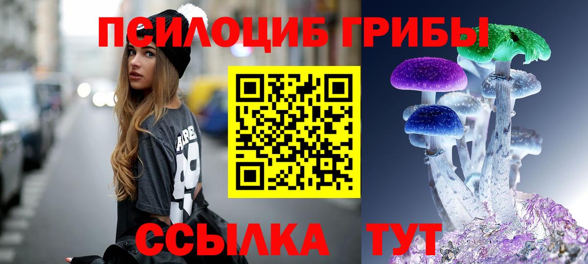 Галлюциногенные грибы Cubensis  Вход с VPN  Кирово-Чепецк 